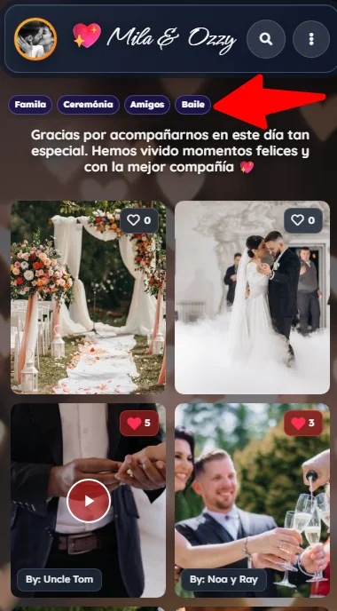 Las etiquetas te permiten organizar el contenido de tu galería online
