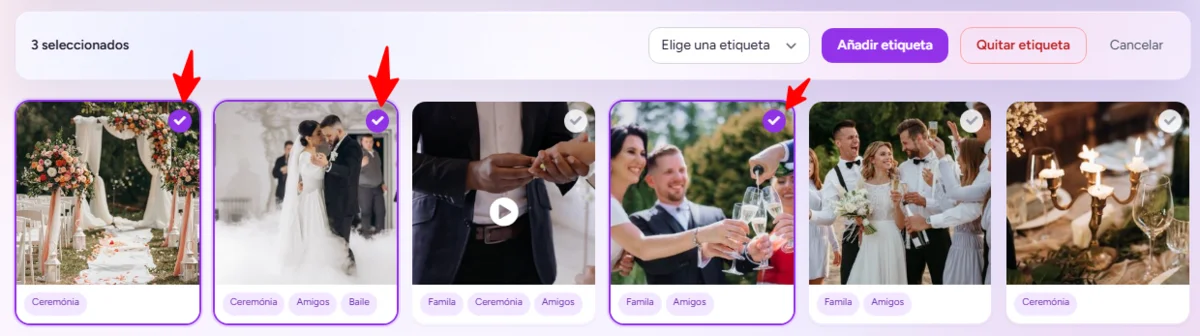 Organizar galería